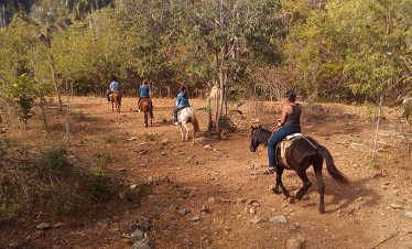 horse-tour-trinidad