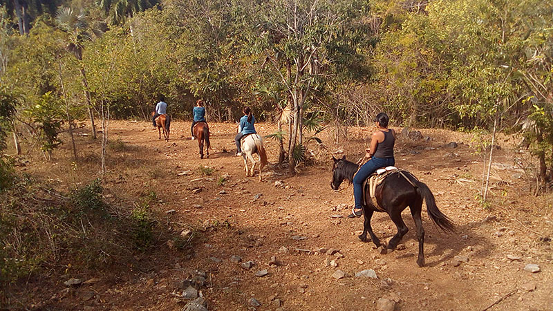 horse-tour-trinidad