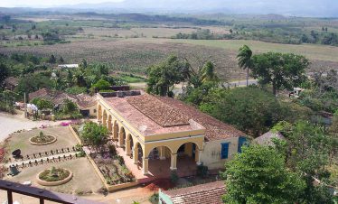 manaca-agnaza-sugar-plantation