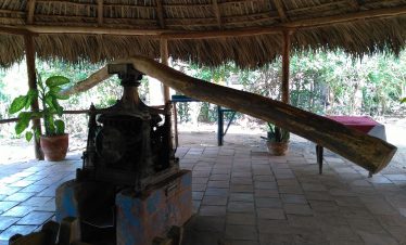 origina-press-sugar-cane