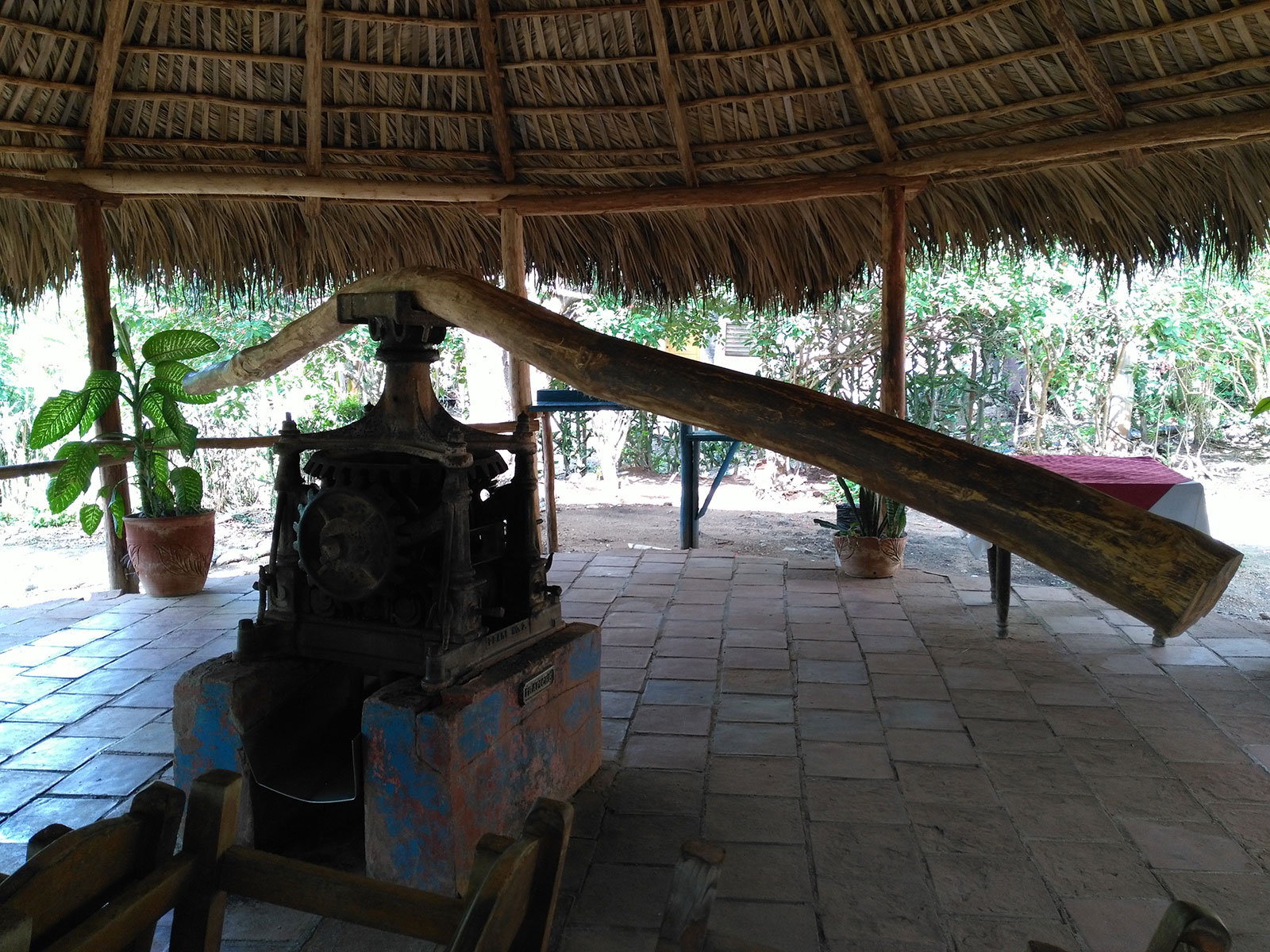 origina-press-sugar-cane